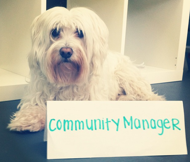 Community Manager